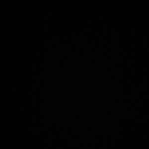 Meet your Posher, Shanida